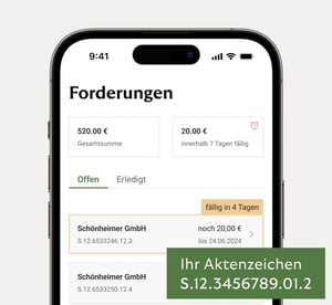 Riverty Back in Flow-App auf einem Smartphone-Bildschirm, der eine Übersicht über ausstehende Beträge anzeigt. 