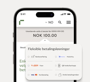 Funksjoner Riverty Back i Flow-appen