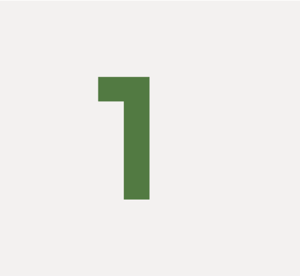 Icon showing a green 1