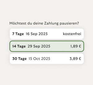 Pausiere Zahlungen vorübergehend.