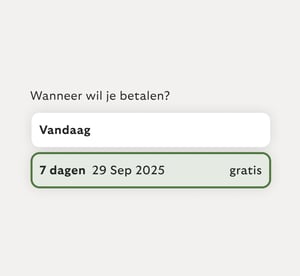 Pauzeer je betalingen tijdelijk.