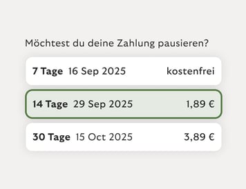 Pausiere Zahlungen vorübergehend.