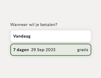 Pauzeer je betalingen tijdelijk.