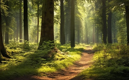 More digitalisation for more trees.