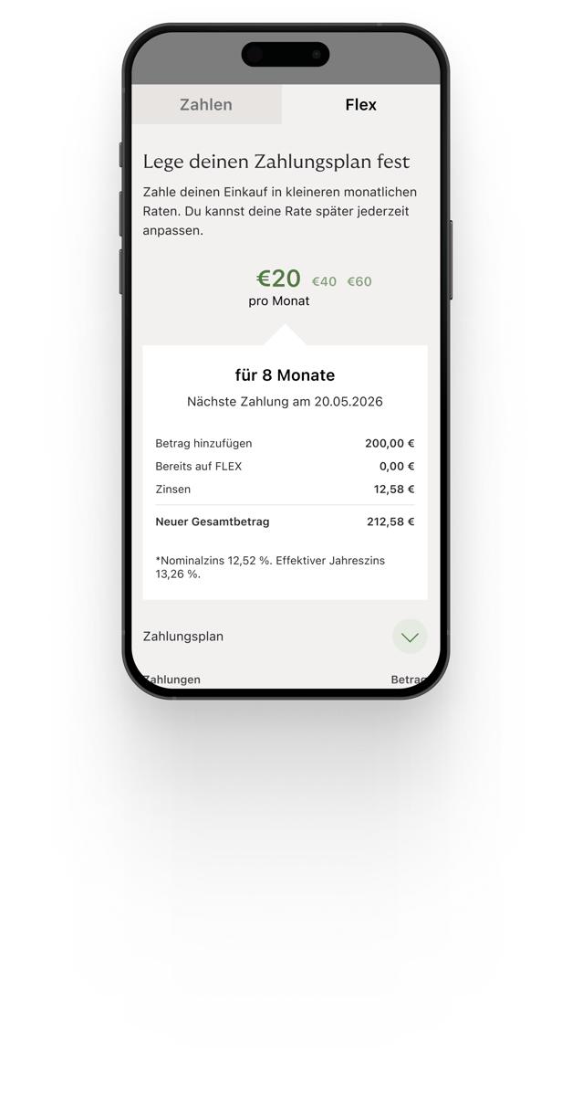 Flex payment screen
